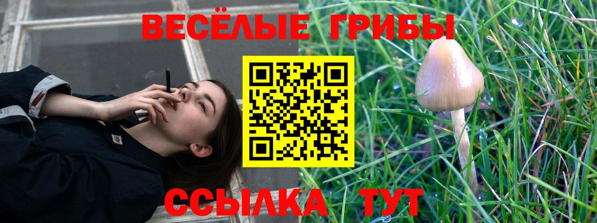 Псилоцибиновые грибы мухоморы Богородицк
